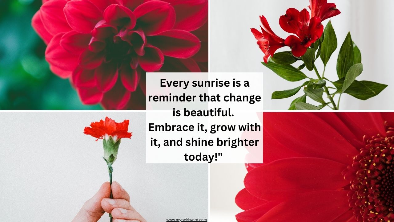 Every sunrise is a reminder that change is beautiful. Embrace it, grow with it, and shine brighter today!