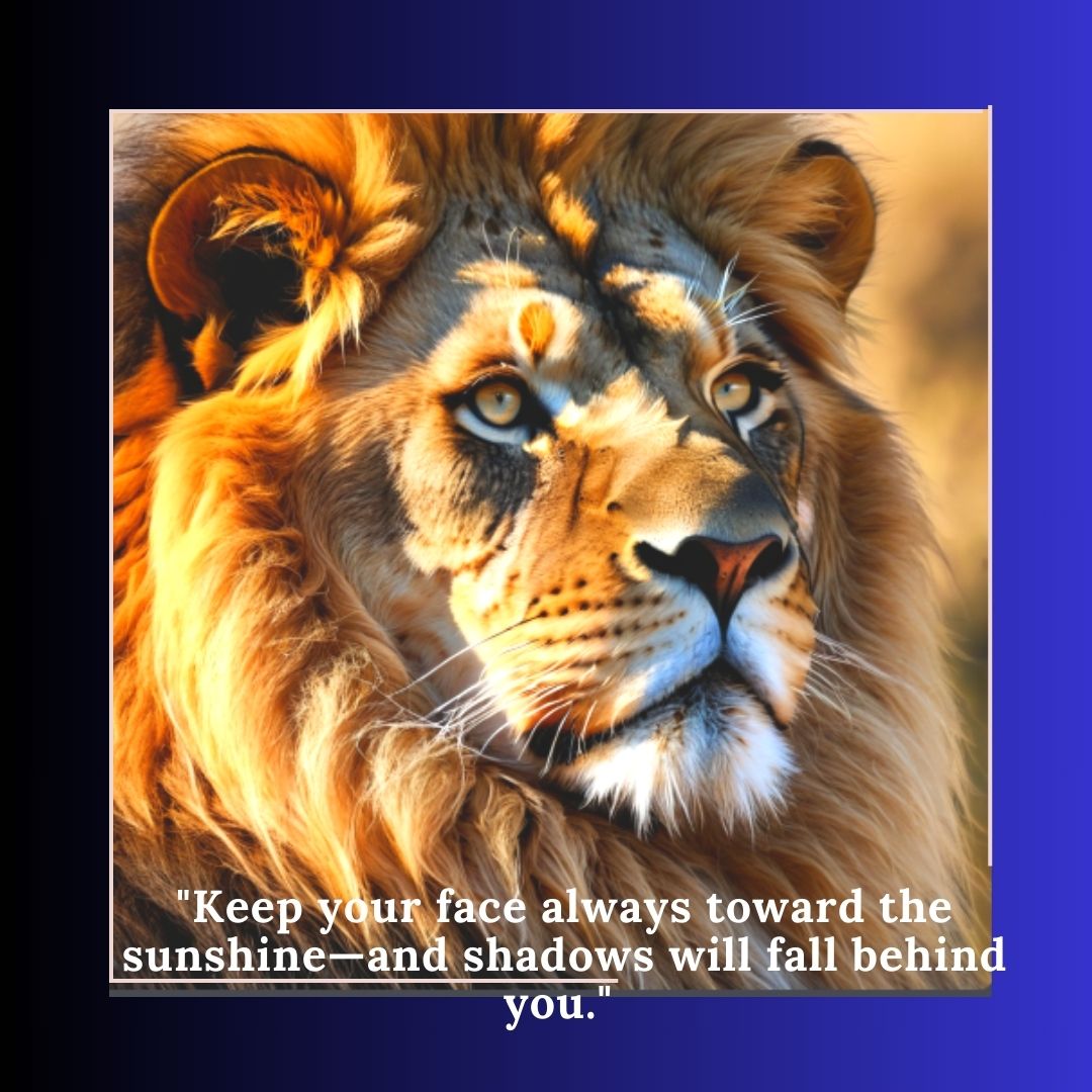 Best Motivational Quotes for Success